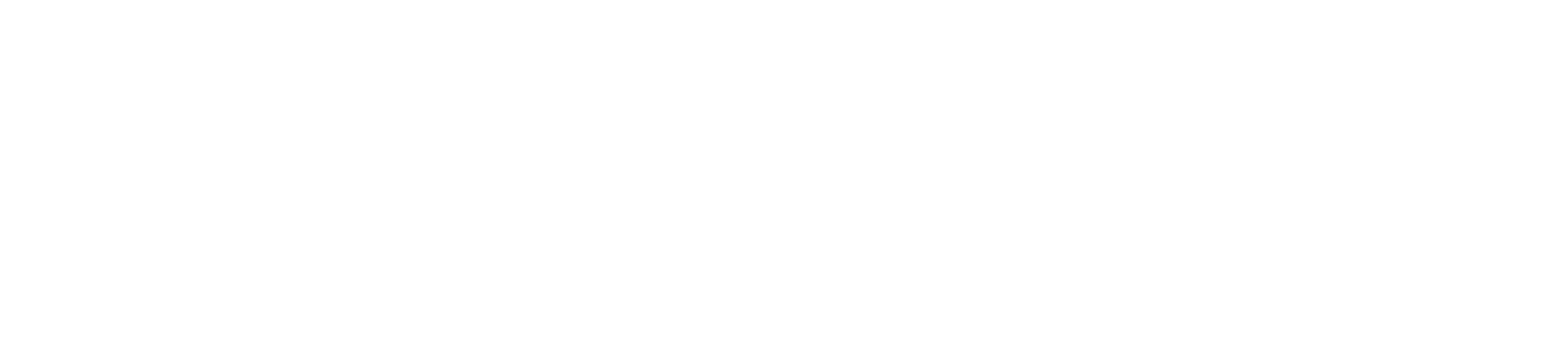 Financial Controlling & Reporting